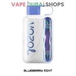 VOZOLStar40000PuffsDisposableVape5_50mgNicblueberrymint