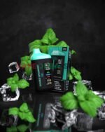 BLVK Bar 20000 Puffs 50mg Nicotine Disposable Vape in Dubai – Buy Now-DOUBLE-SPEARMINT