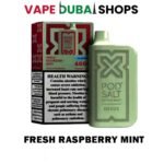 Fresh-Raspberry-Mint_POD SALT Nexus 6000 Puffs 20mg Disposable Vape in Dubai, UAE