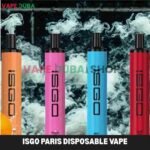 ISGO Paris Disposable Vape 1500 Puffs in UAE Dubai Shop (1)