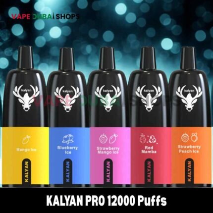 KALYAN-PRO-12000-Puffs-Price-in-Dubai