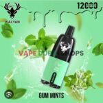 KALYAN-PRO-12000-Puffs-Price-in-Dubai-Gum-Mints (1)