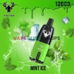 KALYAN-PRO-12000-Puffs-PriceKALYAN-PRO-12000-Puffs-Price-in-Dubai-Mint-Ice-in-Dubai-Mint-Ice
