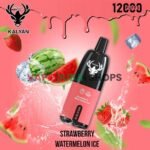KALYAN-PRO-12000-Puffs-Price-in-Dubai-Strawberry-Watermelon-Ice