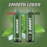 SMOOTH-10000-Puffs-Price-in-Dubai-PEPPERMINT