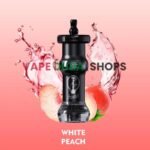 WhatsAppImage2025-08-11at12.29.46PM