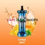 WhatsAppImage2025-08-11at12.29.48PM_8