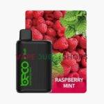 imgi_53_beco-soft-6000-puffs-disposable-vape-in-dubai-raspberry-mint