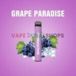 maskking-high-gt-in-dubai-disposable-vape-grape-paradise_800x_788e7b85-9aec-456f-811a-17e952482833_360x