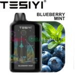 tesiyi-ultra-shisha-40000-puffs-blueberry-mint-disposable-vape