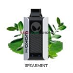 WAKA-Sopro-10000-Puff-Disposable-Spearment