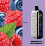 Fummo Nova 50000 Puffs 20mg Disposable Vape in Dubai - blueberry raspberry