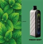 Fummo Nova 50000 Puffs 20mg Disposable Vape in Dubai - fresh mint