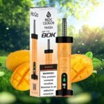 HoQa 80k puffs 5_ nicotine Disposable Vape in Dubai mango