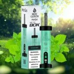 HoQa 80k puffs 5_ nicotine Disposable Vape in Dubai miami mint