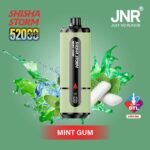 JNR Shisha Storm 52000 Puffs Disposable Vape 2% DTL in the UAE__Mint Gum