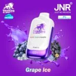 JNR lion king 50000 puffs 50mg nicotine__grape ice
