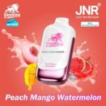 JNR lion king 50000 puffs 50mg nicotine__peach mango watermelon