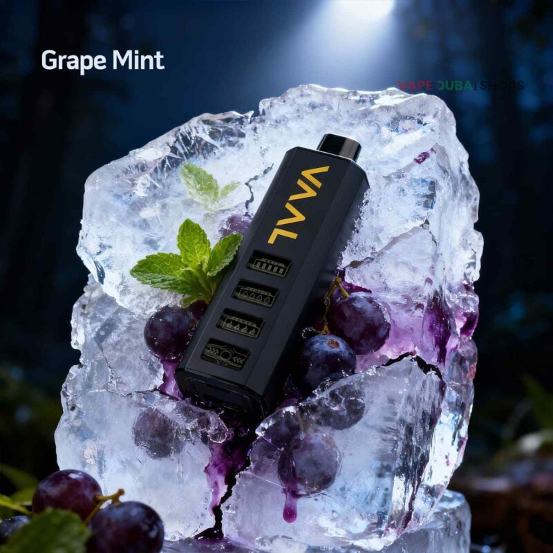 Vaal cyber shisha dtl 50000 puffs 5mg nicotine __Grape Mint