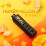 Vaal cyber shisha dtl 50000 puffs 5mg nicotine __Honey Melon Mango