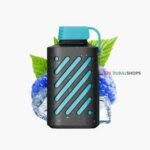 Vozol gear 10000 puffs Blue Razz Ice