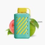Vozol gear 10000 puffs DOUBLE APPLE